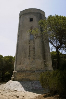torre del tajo de frente