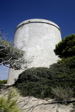 torre tajo