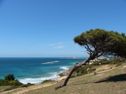 vista desde caños de meca