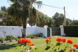 Jardín