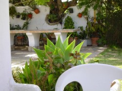 Barbacoa